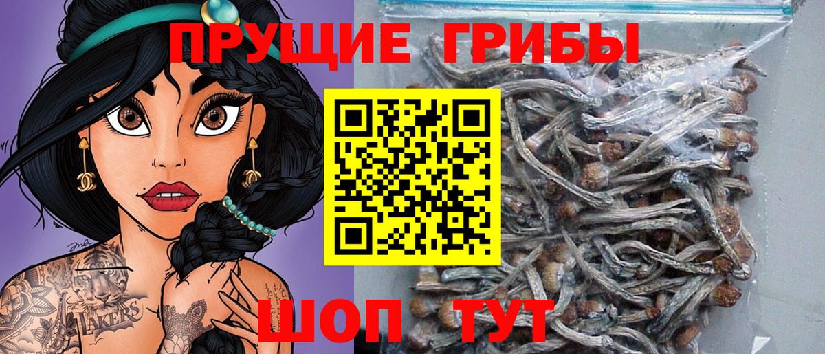 Галлюциногенные грибы Cubensis Сочи