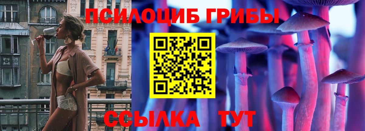 Галлюциногенные грибы мицелий  Вход с VPN  Сочи  Псилоцибиновые грибы GOLDEN TEACHER 
